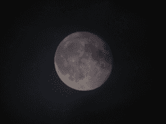 [프랑켄] 악몽 (惡夢) - 4