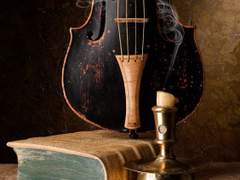 그리하여 흘러든 음/이도은