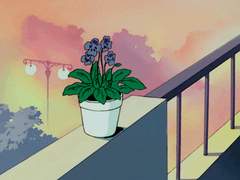 HQ 짧은 썰 모음 15