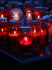 숨겨진 진실의 칼날