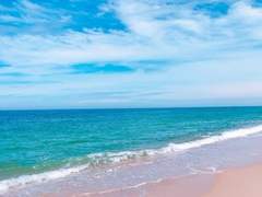 [청려문대] 시작하는 봄, 보내는 겨울. 여름 편