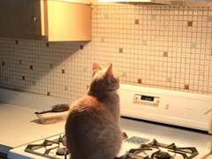 나의 살던 고향은 2