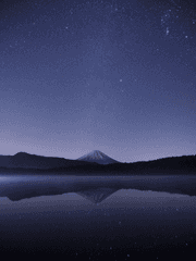 다정하지 않아도 된다