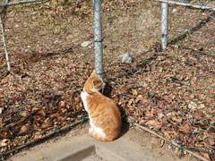 [2022.02.07~2022.02.13] 2022년 산책일기 5주차