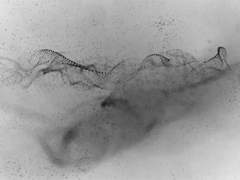 재의 이름으로.