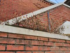 [2022.02.14~2022.02.20] 2022년 산책일기 6주차