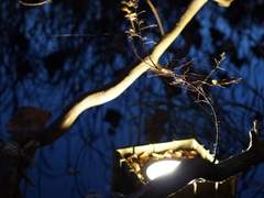 A. 취미에 관한 간단한 고찰