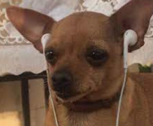 케이팝 여돌 수록곡추천