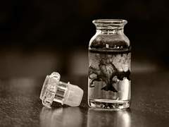 [AD0221 : 독성물질 치사량 비교 실험]