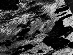 과제: 대련 실습