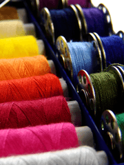 초연(超緣)의 숲