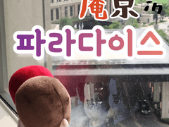 [킹오파/암경] 솜뭉치 사진시리즈 (암경 in 파라다이스♥)