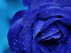 나에게 빛을 건네주었던 당신에게