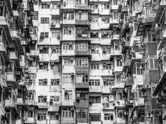 [02] 우리의 집은 닭장이었다.