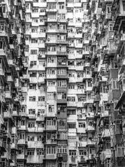 우리의 집은 닭장이었다.