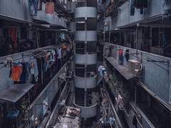 [00] 우리의 집은 닭장이었다.