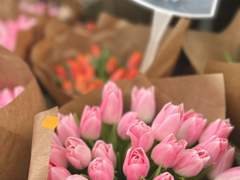 22.02.2022_잠이 오지 않는다.