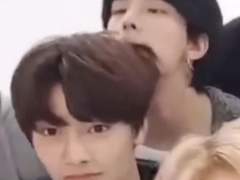 제일청과와 스카이단란주점 - 1