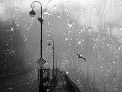 ℝ𝕒𝕚𝕟𝕪 𝕊𝕦𝕟𝕕𝕒𝕪