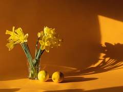 달빛을 먹으니 목에 걸린 가시가 있었다.