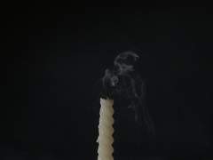 닳아가는 생애의 한이여.