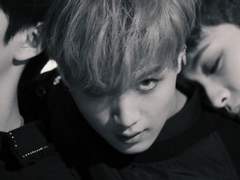 Irreplaceable meaning 2