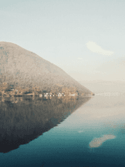 종려x타르탈리아