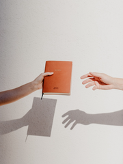 반려직전 뇌절 기획서