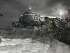 어리다고 봐달라는건가?