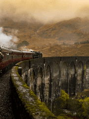 빌리엘(Bill Weasley & Riel Cecil)