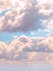 우당탕탕 도련님 길들이기