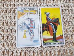 제로피리 관계성 타로