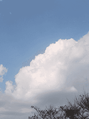 만화초보의 만화