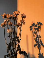 나 그대를 죽도록 더