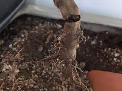 지금이 바로 나의 시간이다.