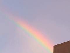 살아있는 무지개