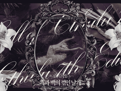 흑과 백의 꺾인 날개