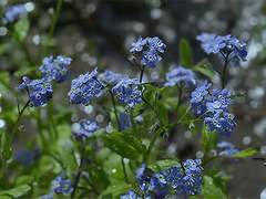 매일 달을 죽여야 한다면 어떨까?