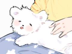 조각난 상자 (엋문)