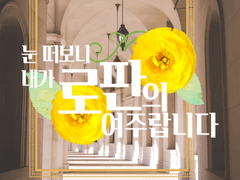 {눈 떠보니 내가 로판 속 여주랍니다}