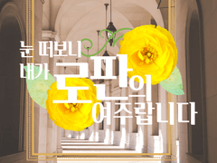 {눈떠보니 내가 로판 여주랍니다}