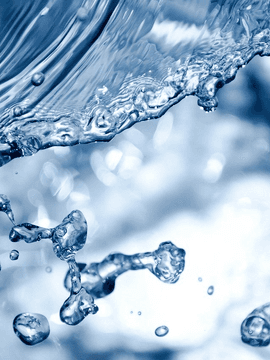 선명히 태어나고 죽은 이름에게