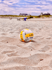 카라스노 새 매니저