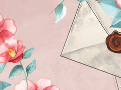 TO. 활발하고 자주 다치는 사자