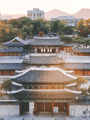 10년이면 강산... 아니! 대세는 착호갑사다!