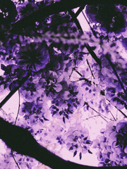 여자는 사랑보다 우정이 아프다