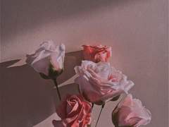 𝑫𝒆𝒂𝒏 𝑹𝒐𝒑𝒆𝒛