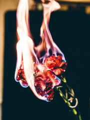 트위터 썰_드레헤르