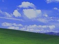 이 밤에 달은 참 빛나더라.