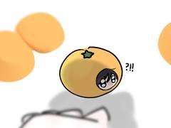 귤이 제 손을 물었어요